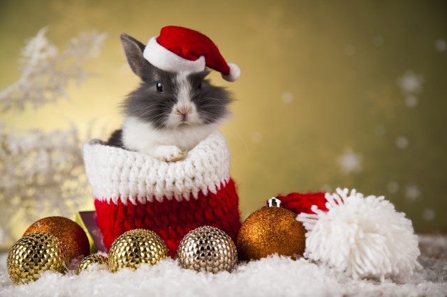 С Новым годом и Рождеством!